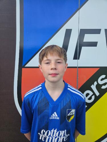 Hans Alfred Janusch Hennies