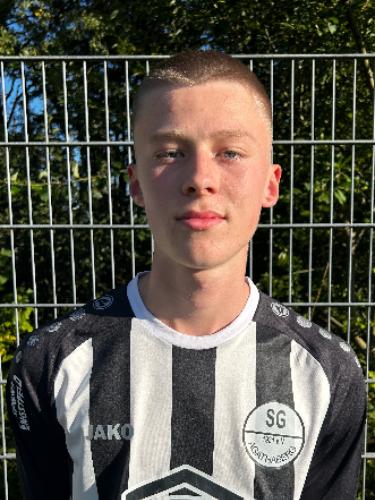 Louis Alexander Hessler