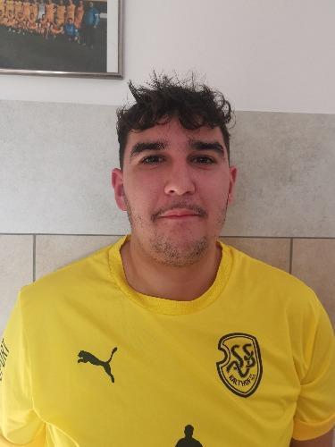 Luca Giuseppe Landolfo