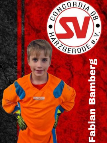 Fabian Bamberg