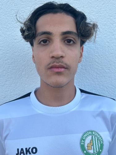 Mohammad Hamed Taylo