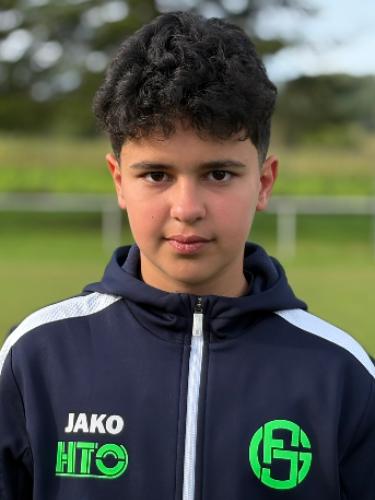 Arian Moradi Tootkaleh