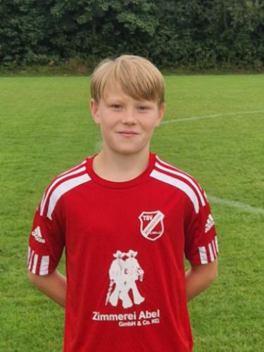 Emil Alfred Pintatis