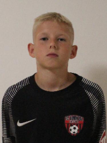 Danylo Stryha