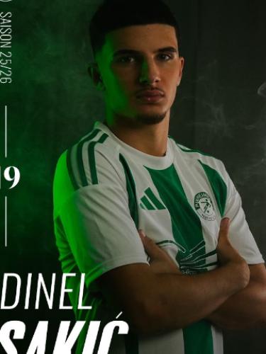 Dinel Sakic