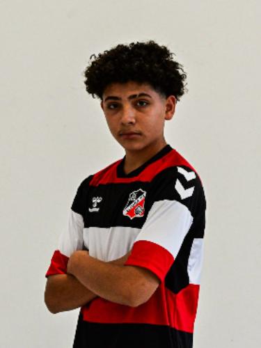 Amir Ali Aslami