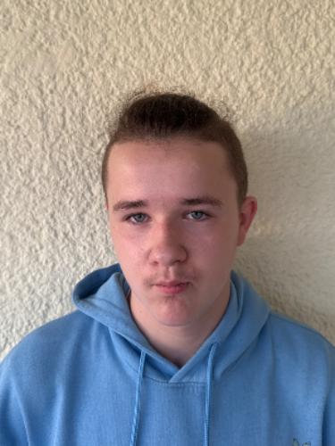 Felix Ludger Messing