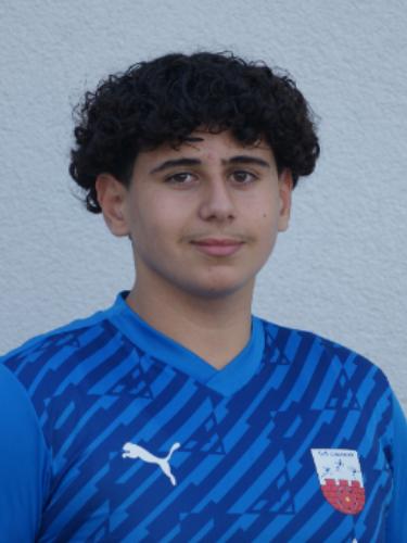 Amir Sweidan