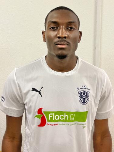Francis Rodrick Ngwa Che