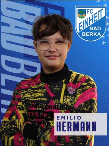 Emilio Hermann