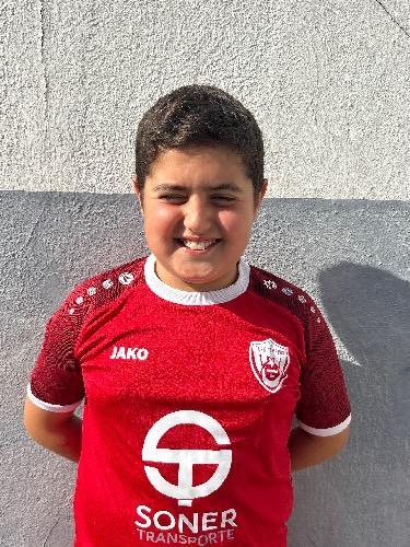 Alper Gülsular