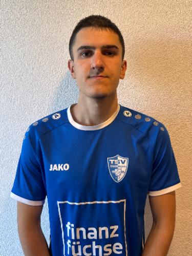 Pavle Tomic