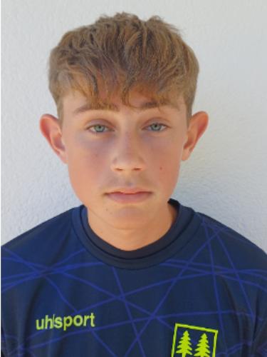 Roman Hauser