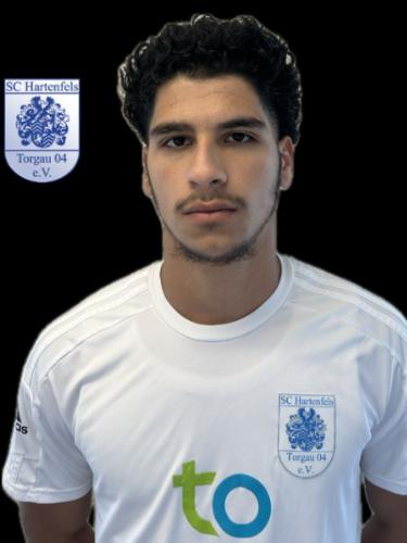 Jehad M. A. Abordane