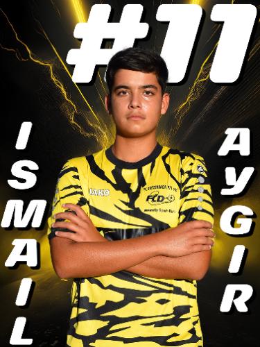 Ismail Aygir