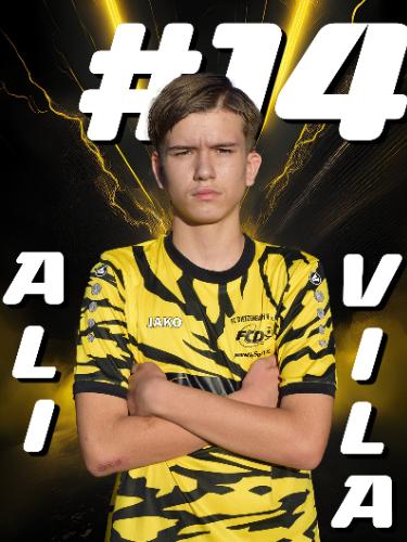 Ali Vila