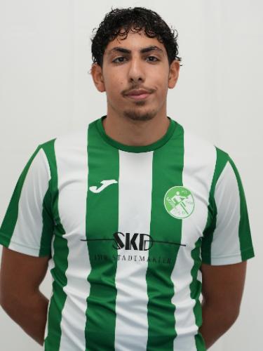 Hadi Badreddine
