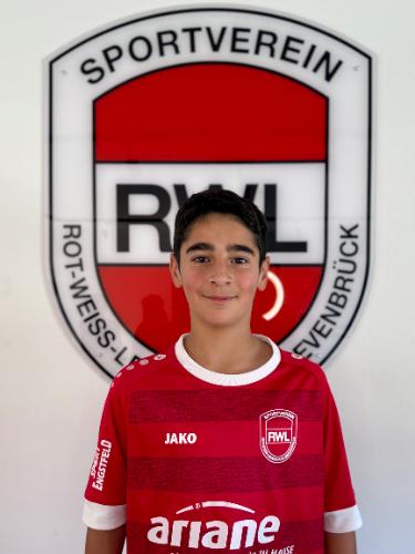 Amir Mohammad Hosseini