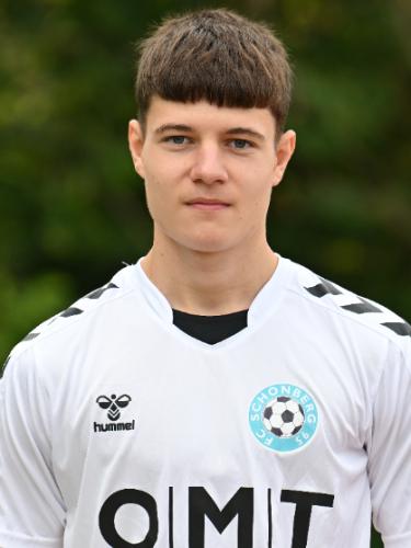 Pavle Kostic
