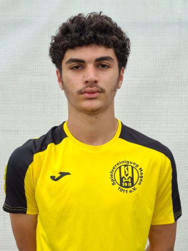 Mahmod Alsulaiman