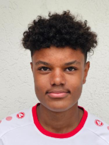 Niclas Leon Schmiedle