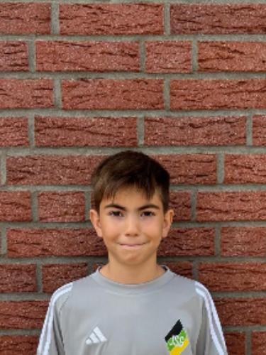Raul Stefan Cheptene