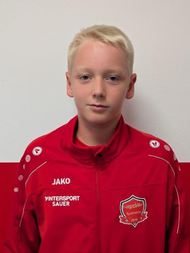 Vico Zierd