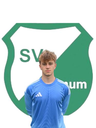 Jarik Heyen