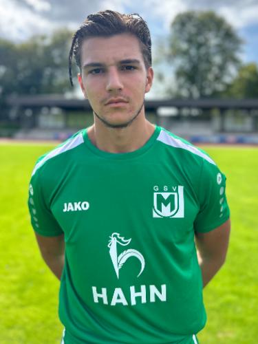 Danilo Mandic