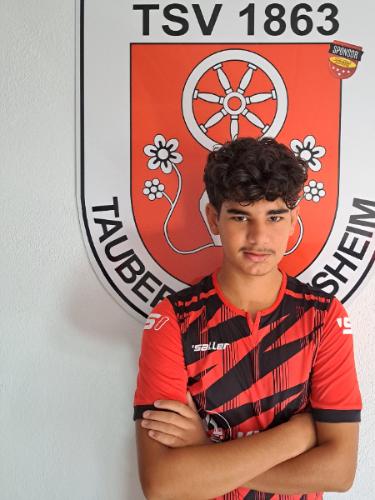 Ali Alsagr