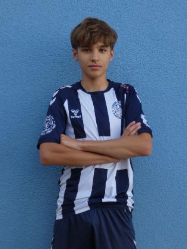 Arel Levin Bernhardt