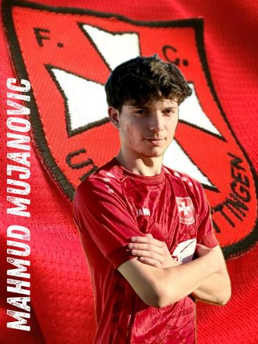 Mahmud Mujanovic