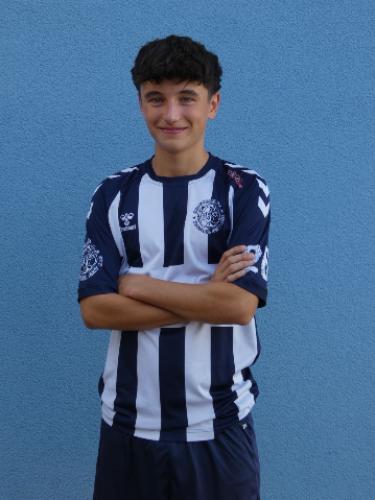 Frants Werner Ulfert