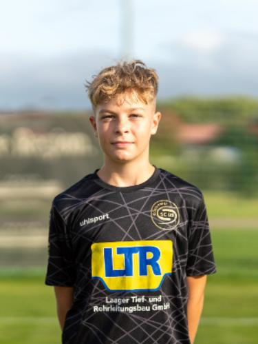 Johann Friedrich Werner