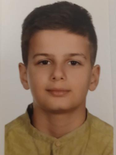 Vesiki Simsive