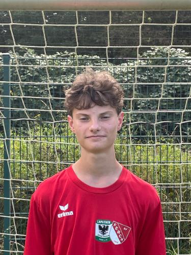 Emil Louis Walter Herrmann