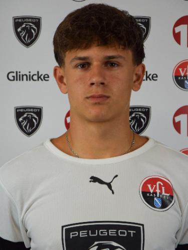 Theo Henrich