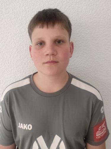 Dmytro Pidlisnyi