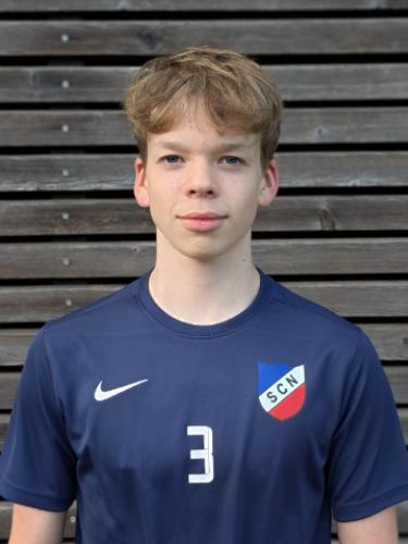 Leif Luis Amling