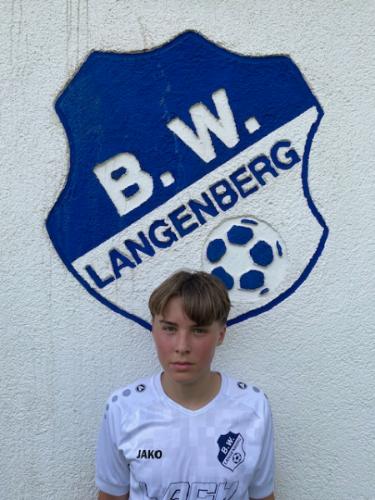 Henrik Gabriel Anton