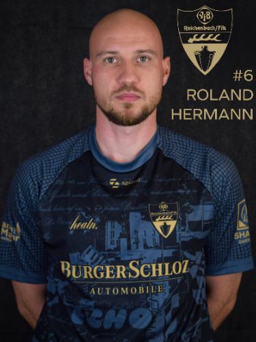 Roland-Martin Hermann