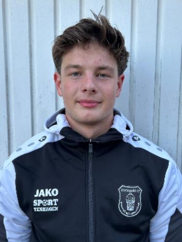 Louis Nils Zimmermann