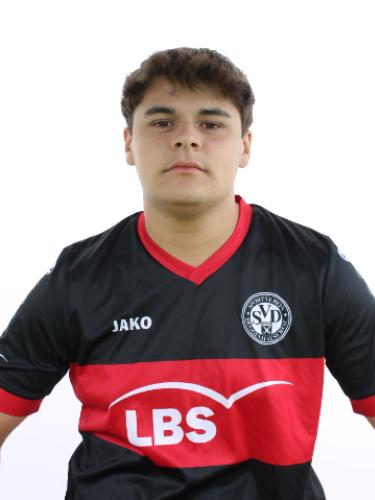 Dominik Lemmle