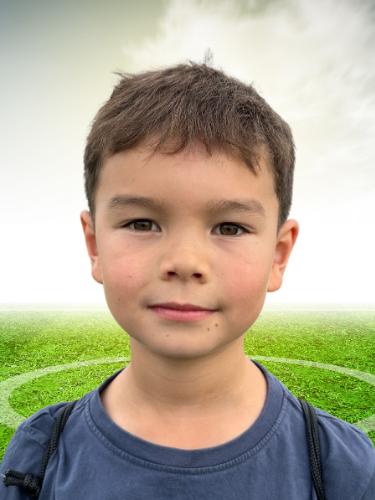 Arian Heinrich