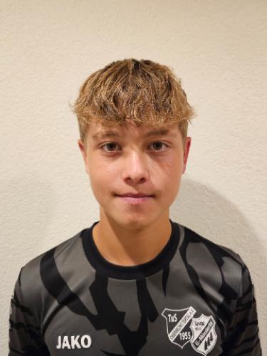 Niklas Landauer