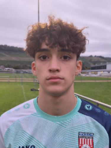 Matei Florin Steriean