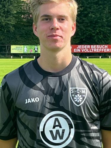 Nico Schulz