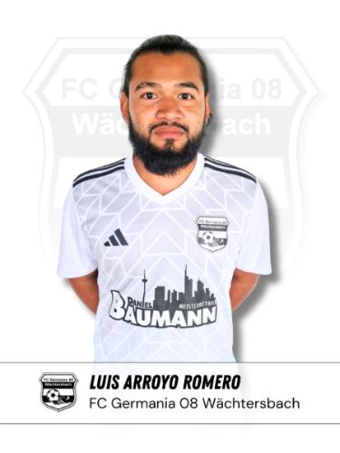 Luis Angel Arroyo Romero