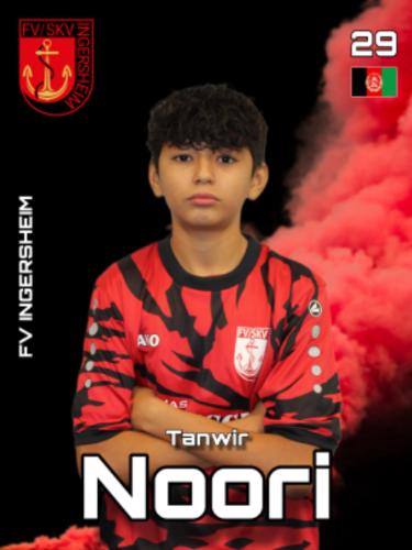 Tanwir Hussaini