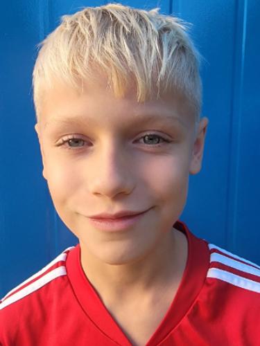 Fokke Wibelitz